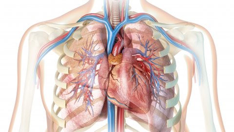 Afbeelding van cursus Praktische ECG-beoordeling