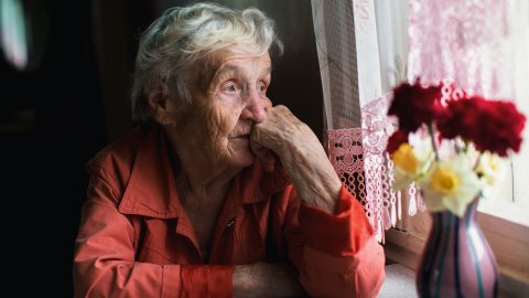 Afbeelding van cursus Kwetsbaarheid en de onderliggende mechanismen